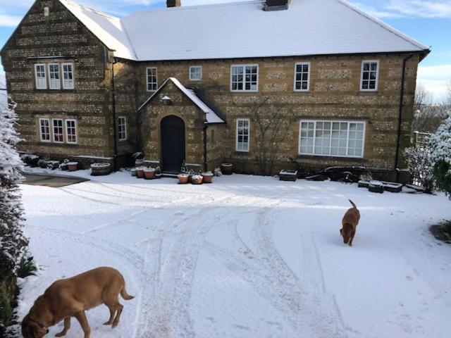 Buckland Newton Whiteways Farmhouse المظهر الخارجي الصورة